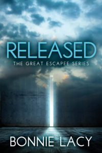 Fiction about Clarence locked up in prison and freedom in Christ